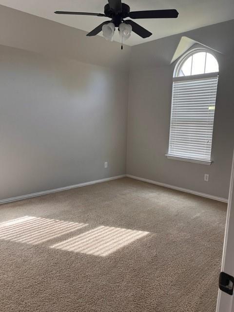 5818 Country View Lane Frisco, TX 75036 - Photo 30 of 32