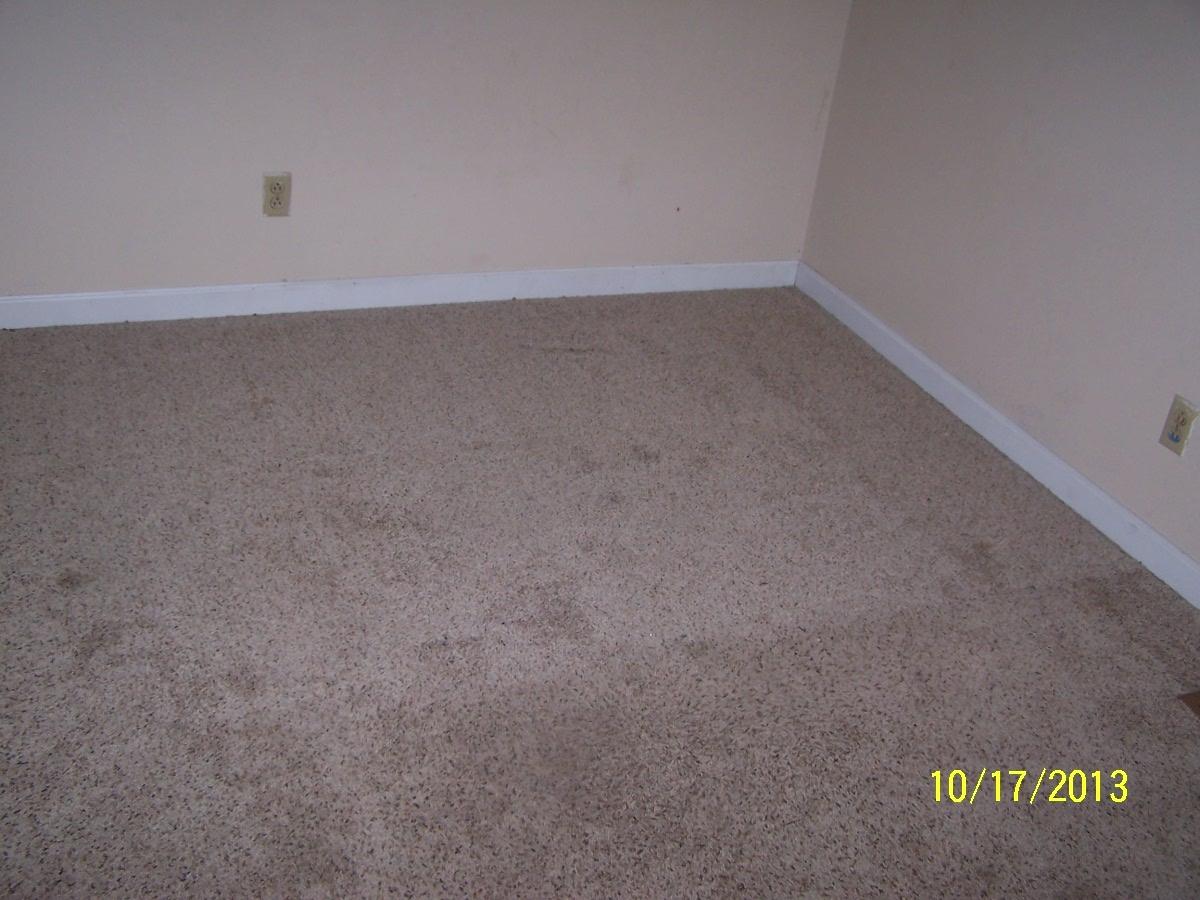 7756 Ashley Road Powell, TN 37849 - Photo 8 of 14 110_4468