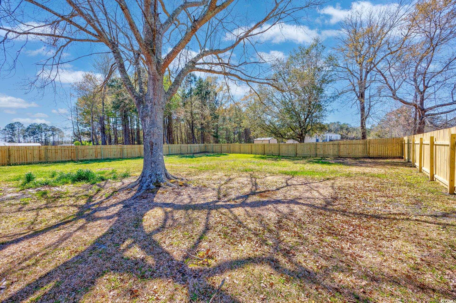 2965 Mt Olive Road Loris, SC 29569 - Photo 36 of 40
