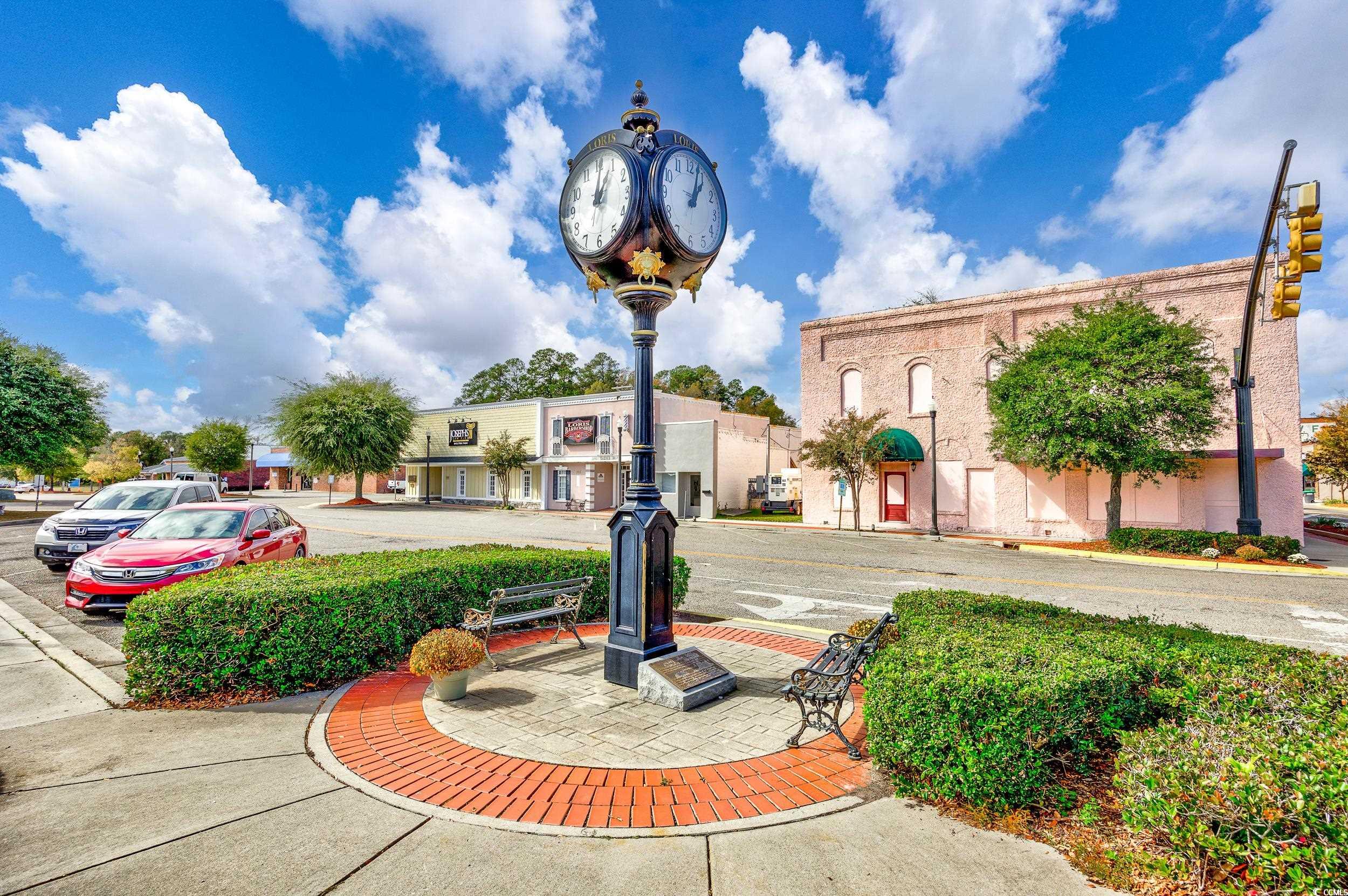 2965 Mt Olive Road Loris, SC 29569 - Photo 38 of 40