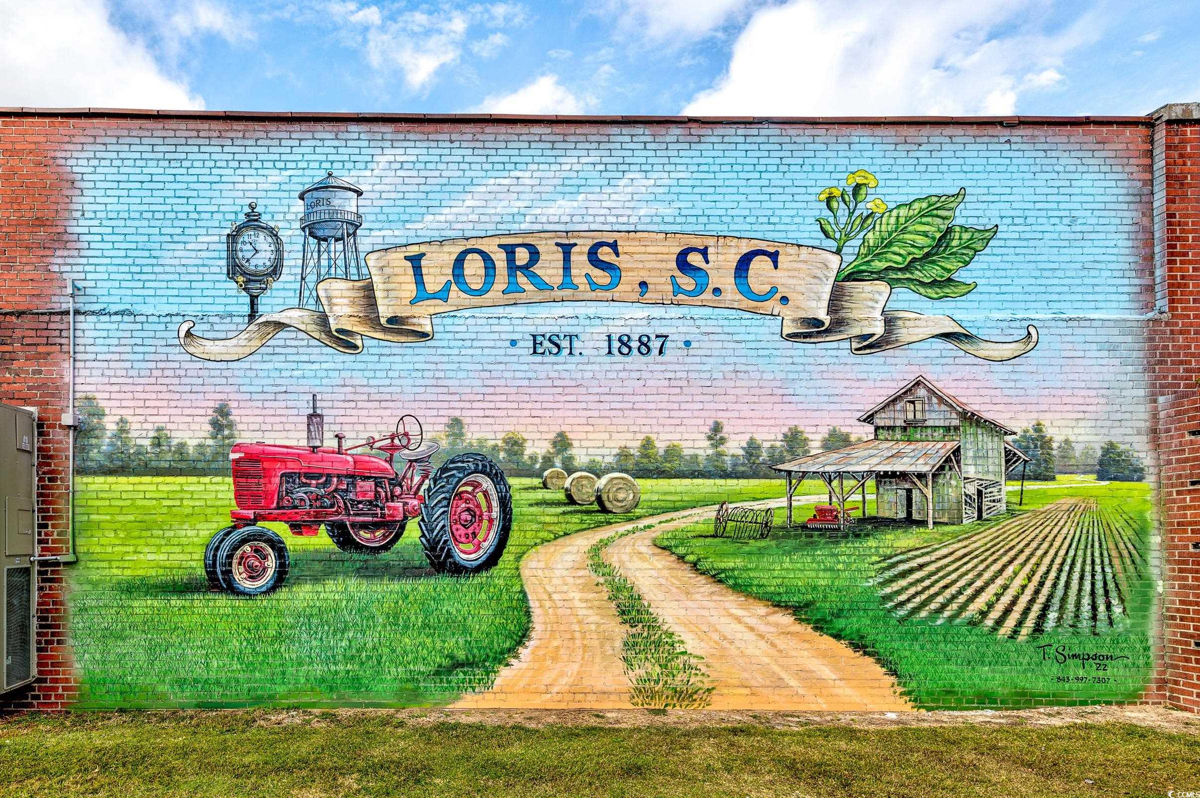 2965 Mt Olive Road Loris, SC 29569 - Photo 39 of 40