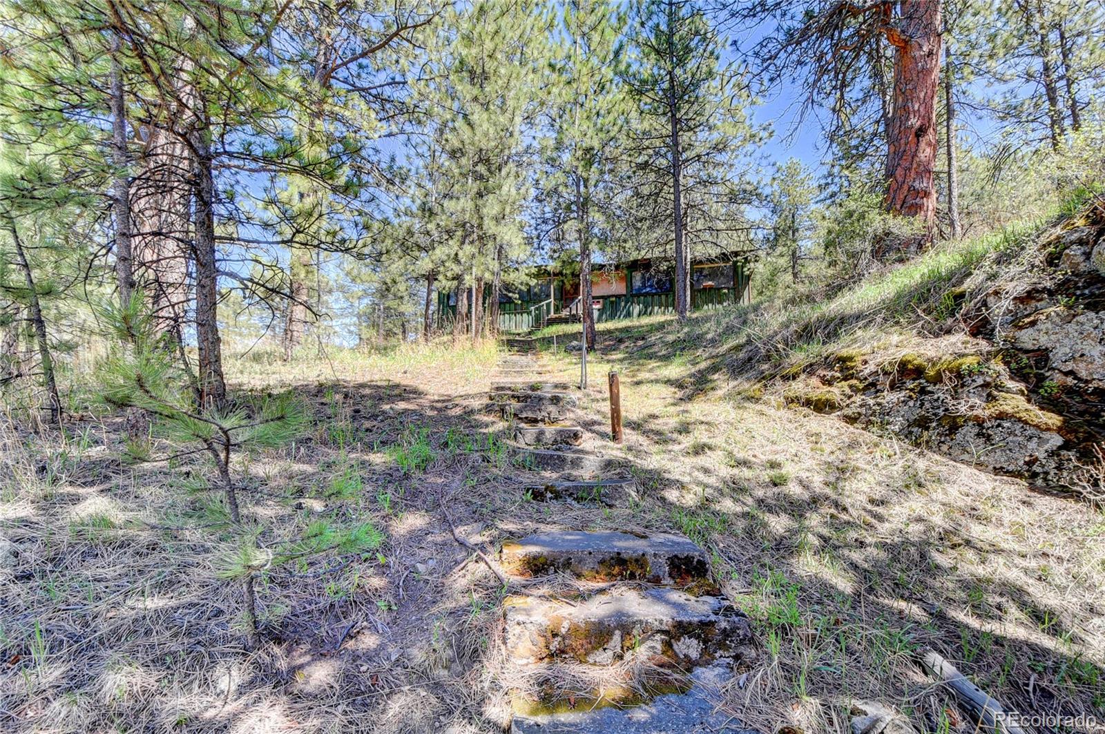 4690 Highway 73 Evergreen Co 80439 Evergreen, CO 80439 - Photo 21 of 34 a backyard of a house with lots of green space