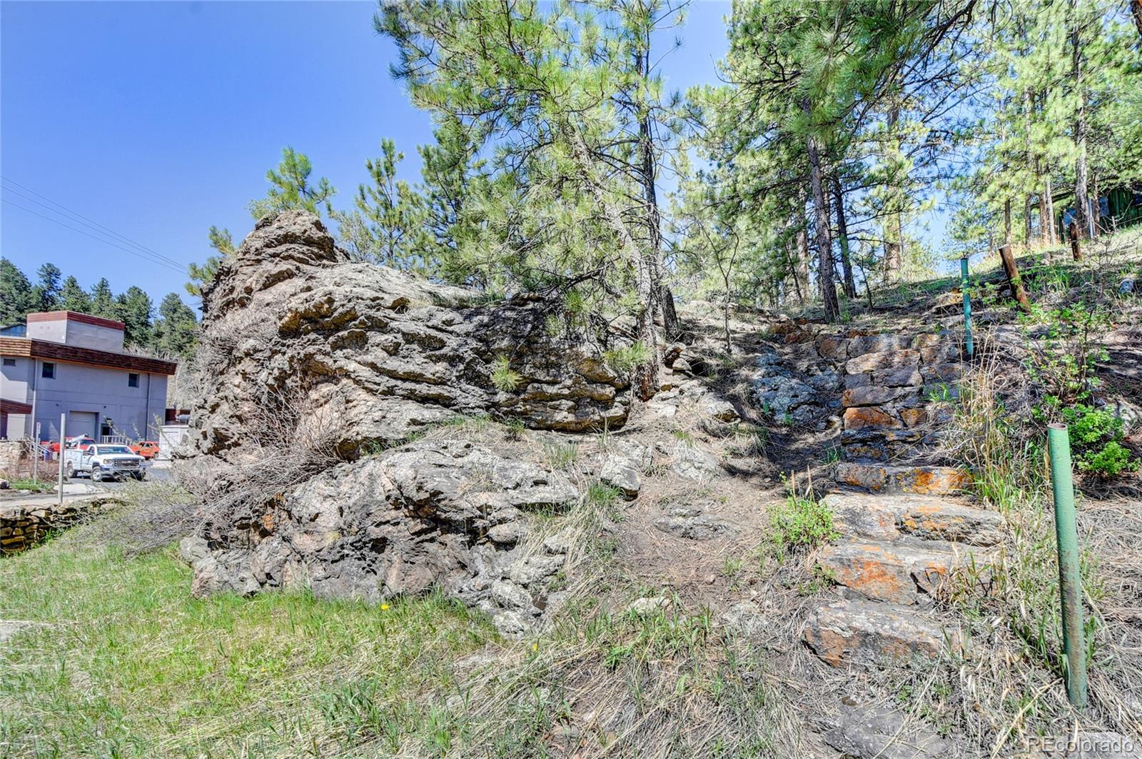 4690 Highway 73 Evergreen Co 80439 Evergreen, CO 80439 - Photo 22 of 34 a view of a yard with plants and trees