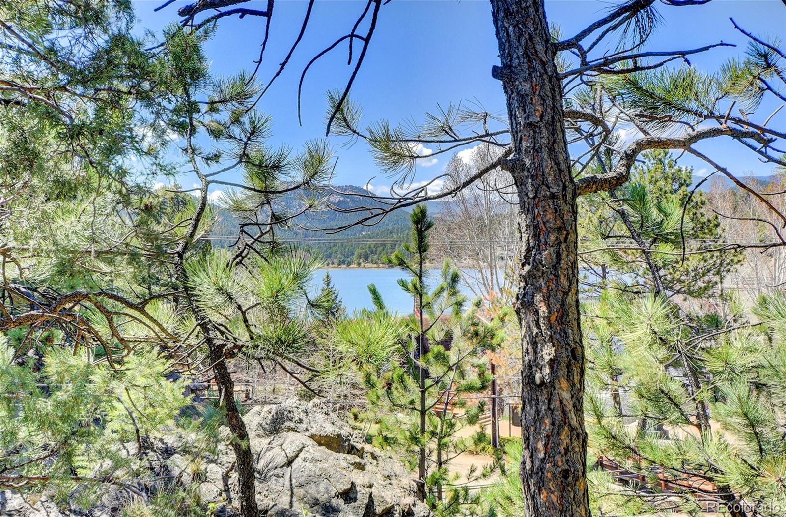 4690 Highway 73 Evergreen Co 80439 Evergreen, CO 80439 - Photo 23 of 34 a backyard of a building