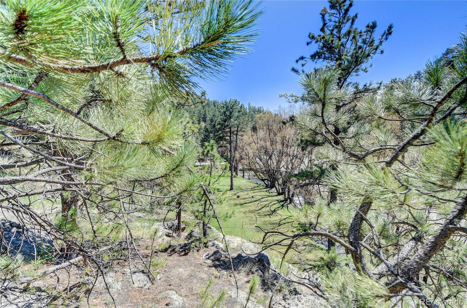 4690 Highway 73 Evergreen Co 80439 Evergreen, CO 80439 - Photo 24 of 34 a view of a garden