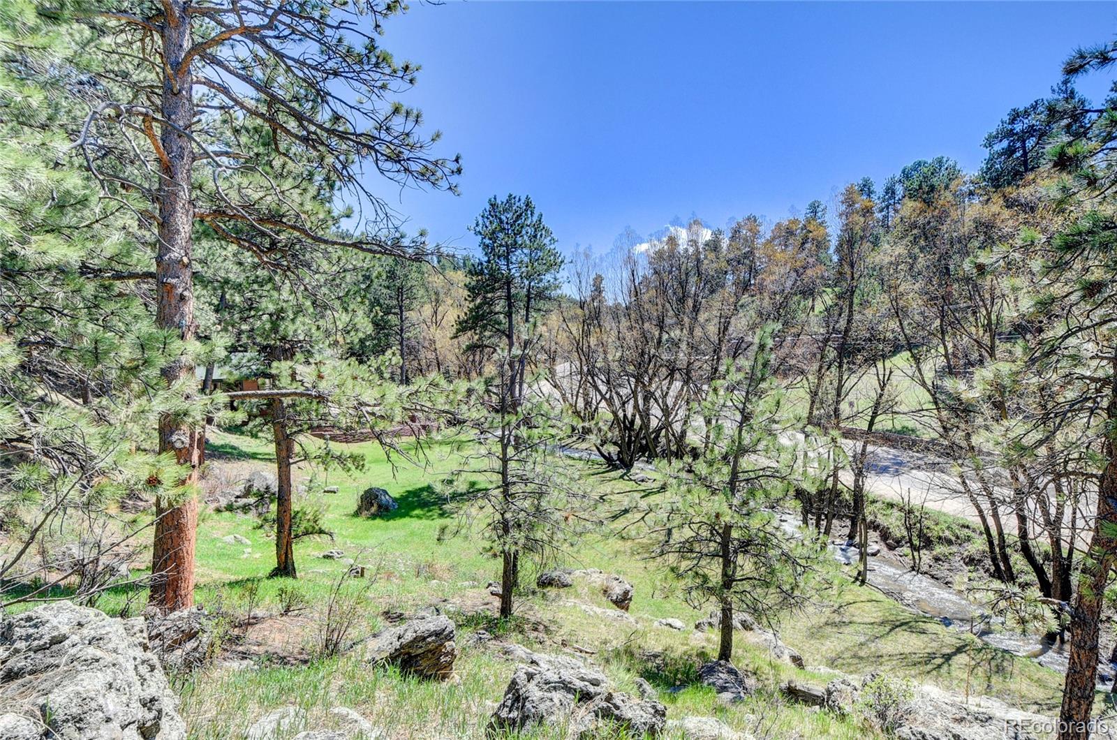 4690 Highway 73 Evergreen Co 80439 Evergreen, CO 80439 - Photo 25 of 34 a view of a yard with a tree