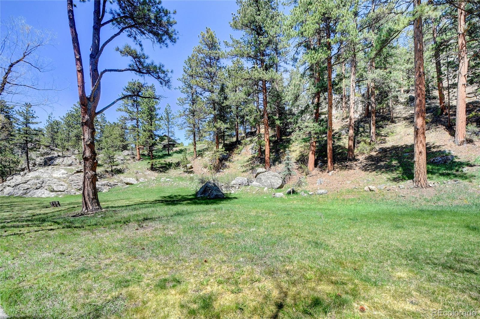 4690 Highway 73 Evergreen Co 80439 Evergreen, CO 80439 - Photo 28 of 34 a view of a tree in a yard