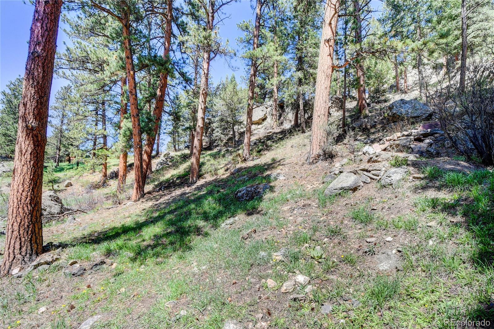 4690 Highway 73 Evergreen Co 80439 Evergreen, CO 80439 - Photo 30 of 34 a view of a yard with plants and trees