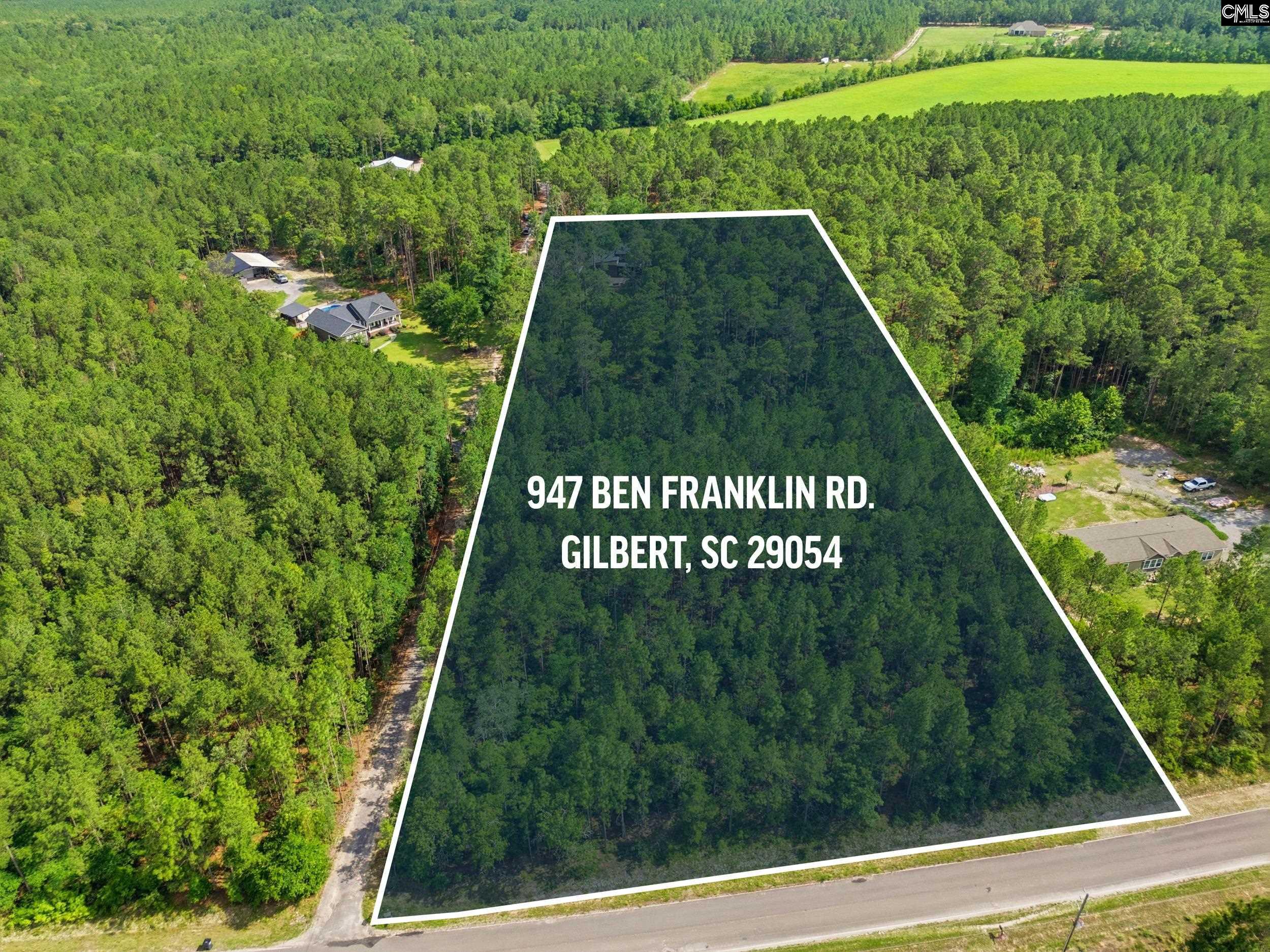 947 Ben Franklin Road Gilbert, SC 29054 - Photo 58 of 60