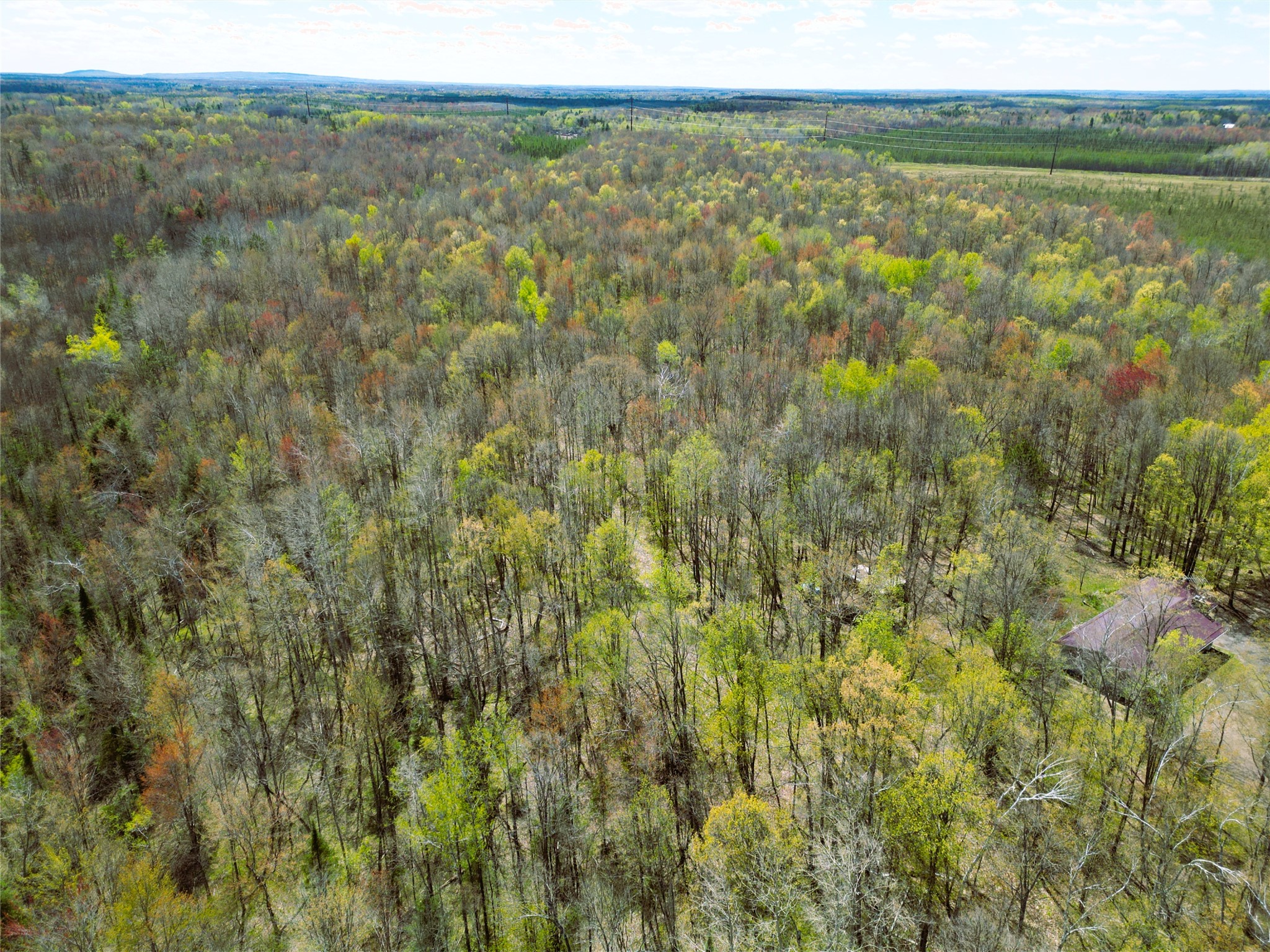 96 White Birch Ridge Road Ladysmith, WI 54848 - Photo 8 of 13