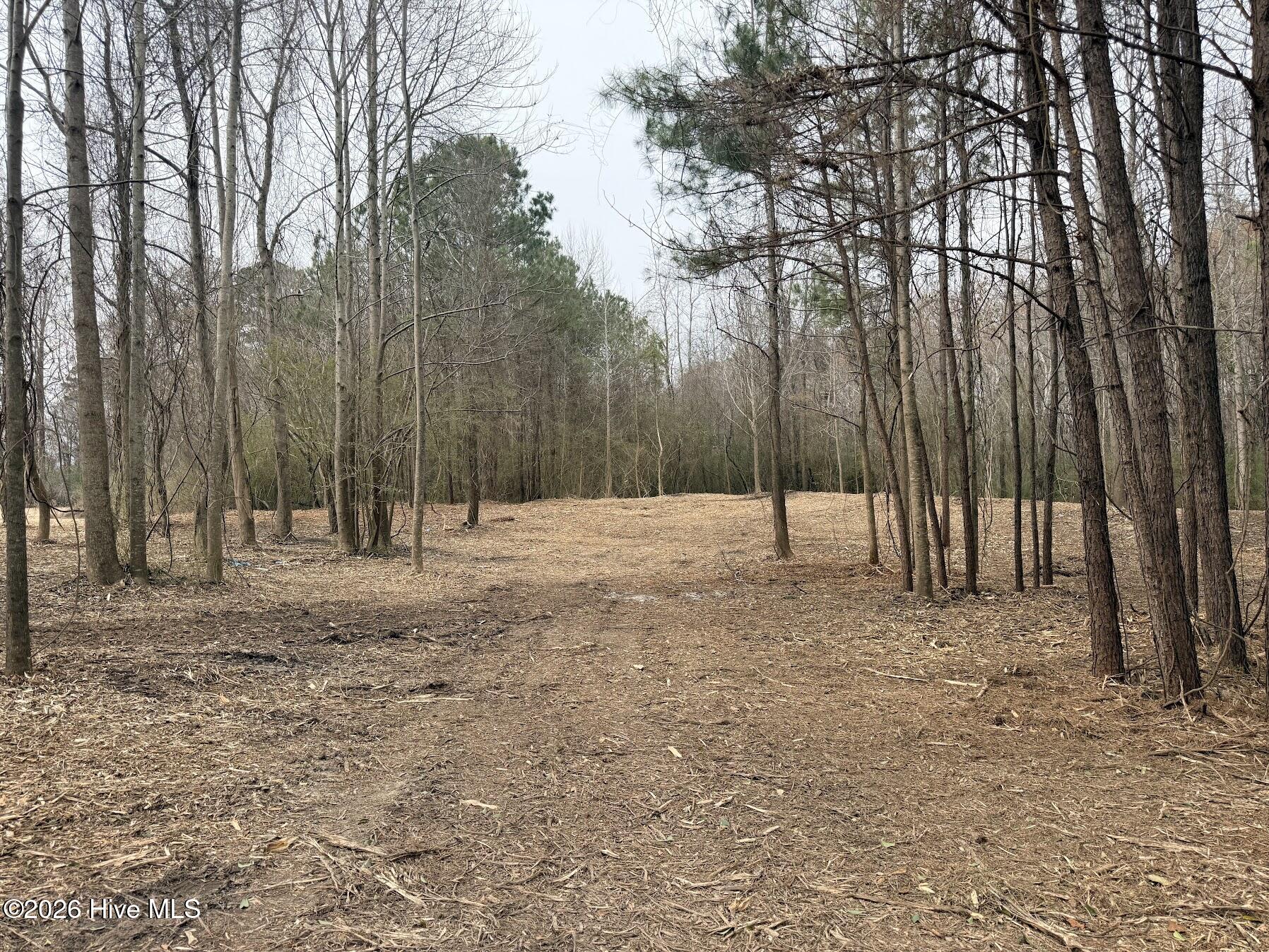 227 Langley Road Chocowinity, NC 27817 - Photo 2 of 16 Photo 13 02.25.2026