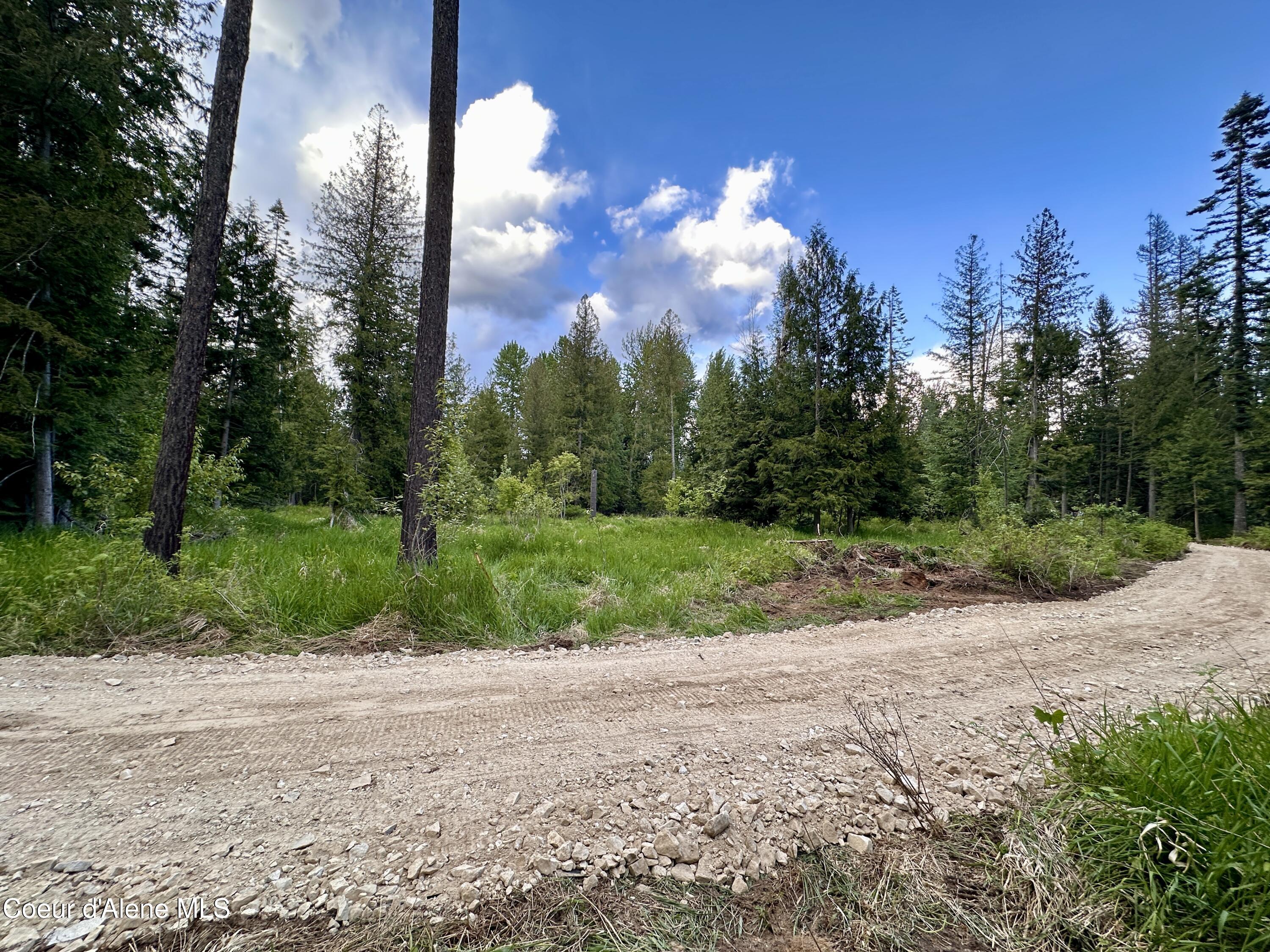 Nka Cedar Springs Road Sandpoint, ID 83864 - Photo 11 of 14 IMG_8049