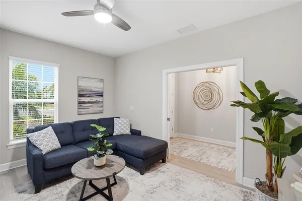 a living room with furniture and a potted plant