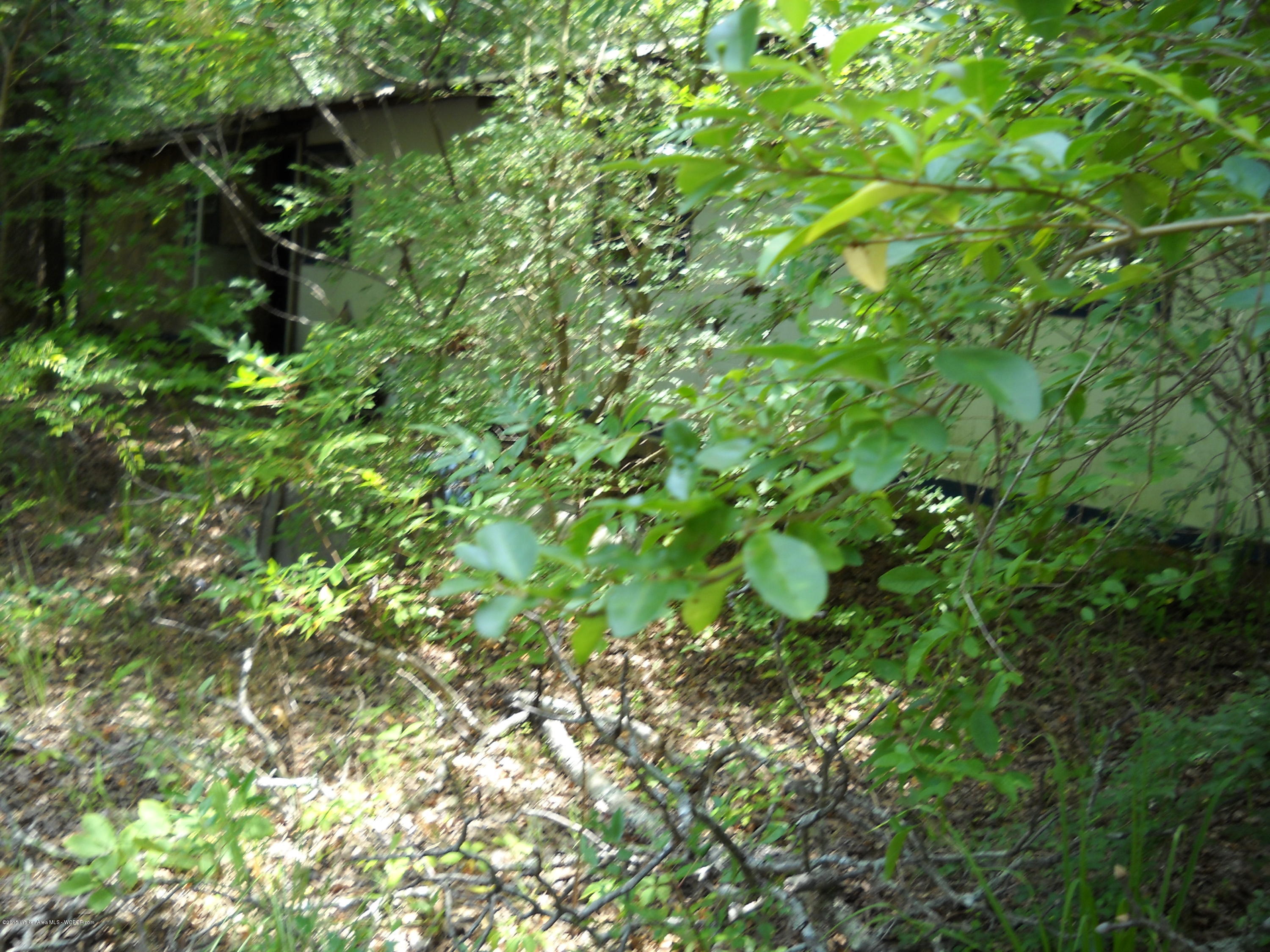 307 Marlin Jordan Road Carbon Hill, AL 35549 - Photo 4 of 10 Gallery Image 4