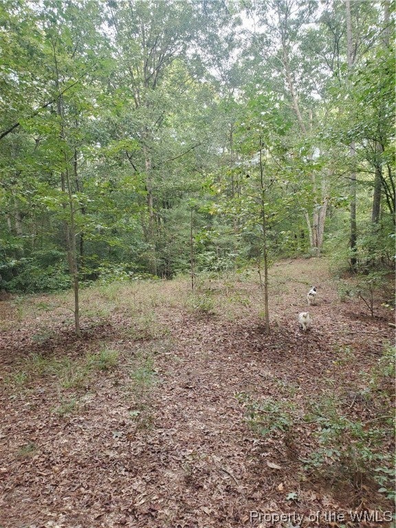 0 Wilkes Road Lanexa, VA 23089 - Photo 12 of 24 Gallery Image 12