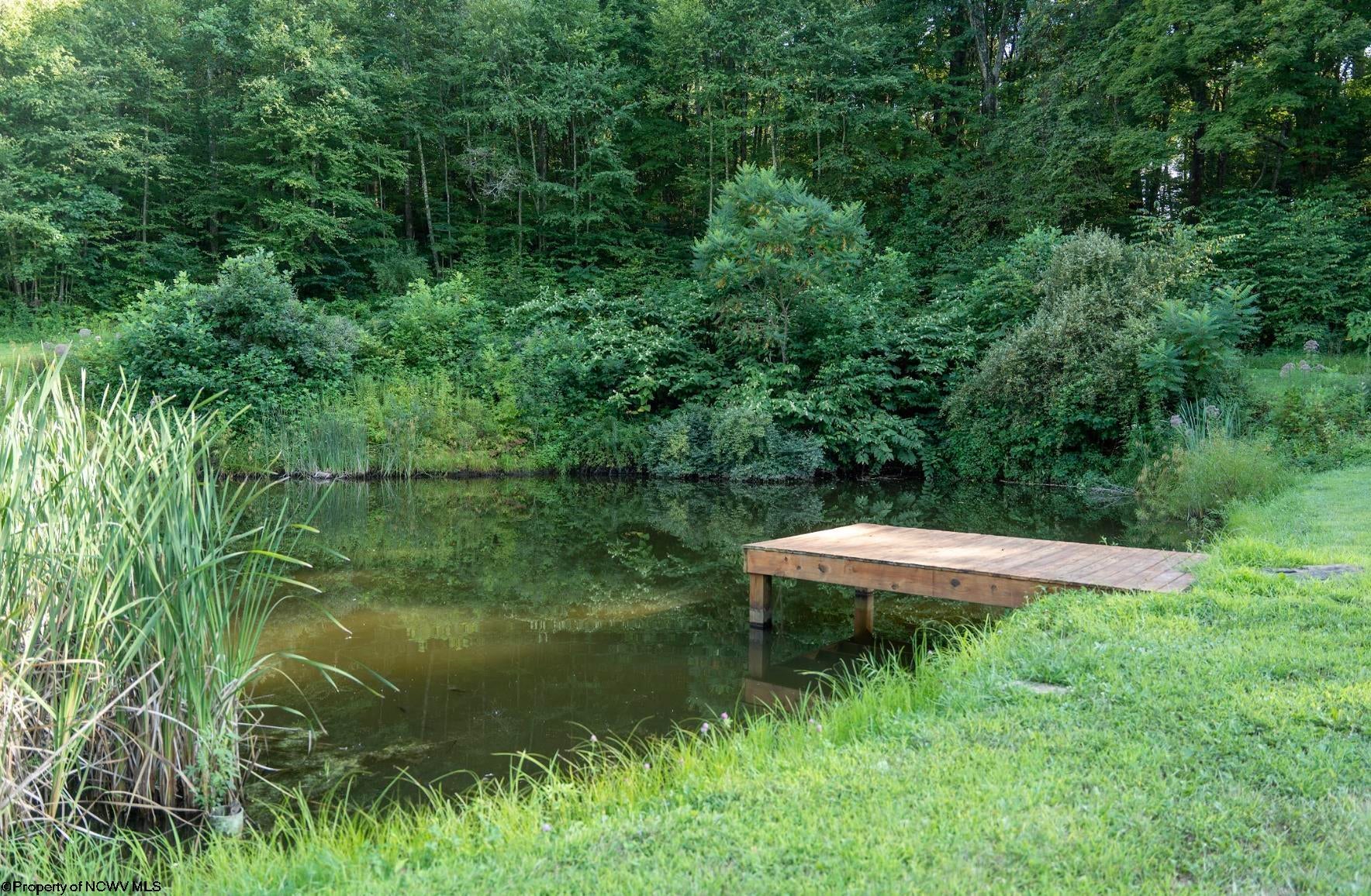 438 Irish Ridge Road Newburg, WV 26410 - Photo 27 of 50 Gallery Image 27