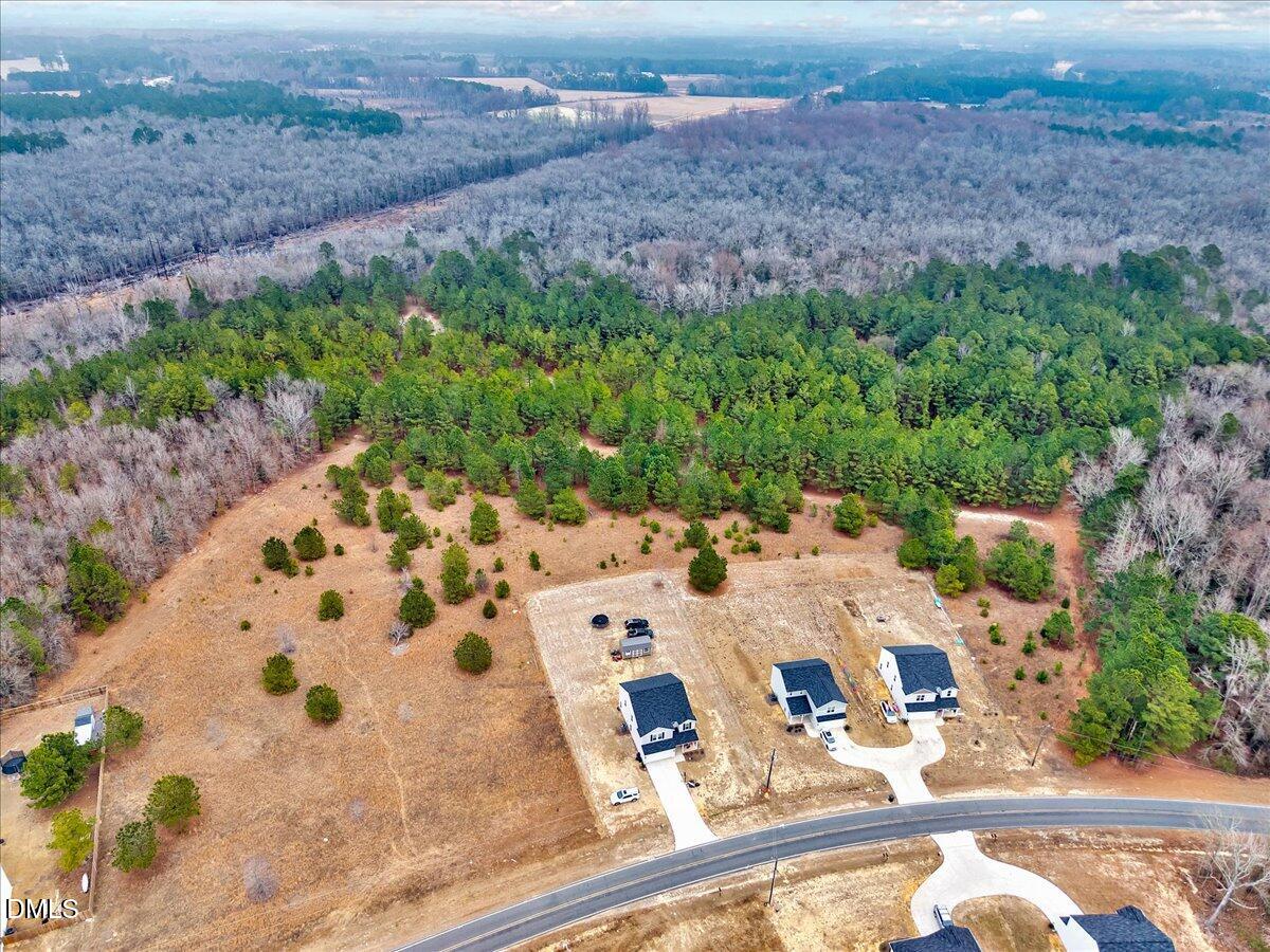 Lot 5 Blue Springs Road Red Springs, NC 28377 - Photo 2 of 9