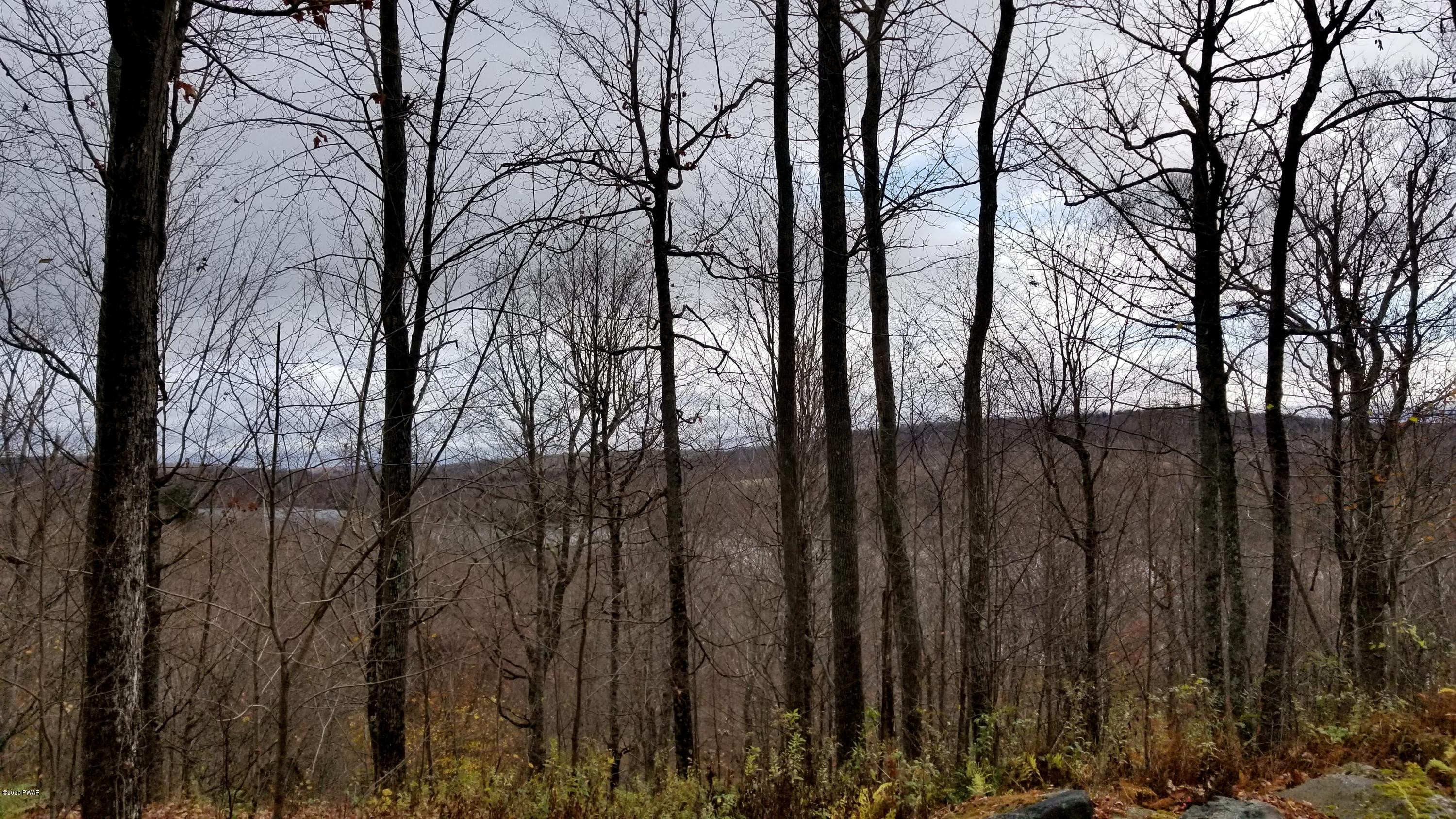 Lot 63 Old Woods Road Equinunk, PA 18417 - Photo 17 of 63