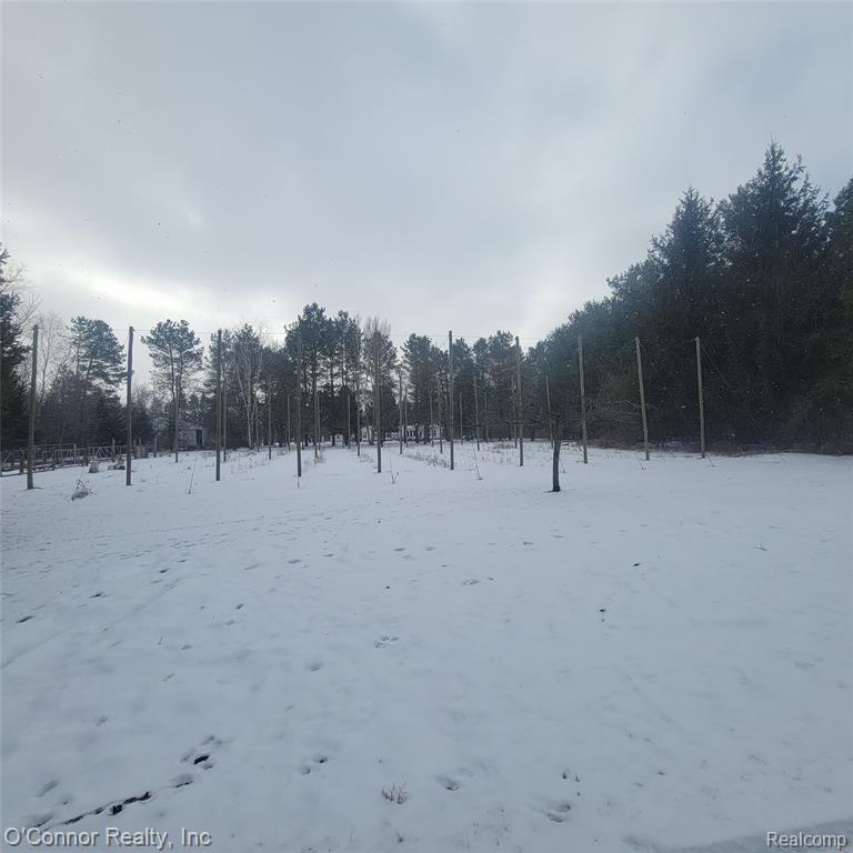 2845 Burr Road Applegate, MI 48401 - Photo 46 of 53