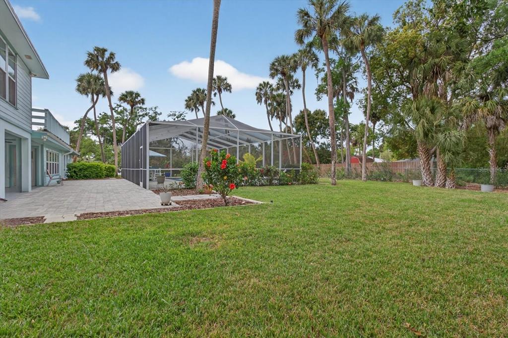 5539 Delaware Avenue New Port Richey, FL 34652 - Photo 86 of 95 a view of a park with large trees