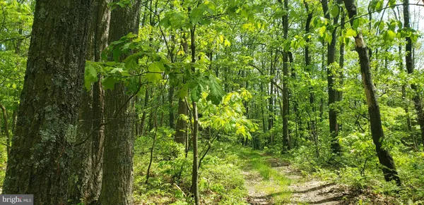 $89,900 | Spring Glade Road, Oakland, MD 21550