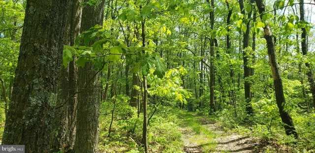 $89,900 | Spring Glade Road, Oakland, MD 21550