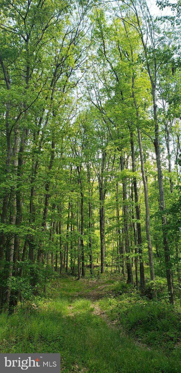 Spring Glade Road Oakland, MD 21550 - Photo 2 of 10