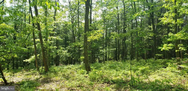 $89,900 | Spring Glade Road, Oakland, MD 21550