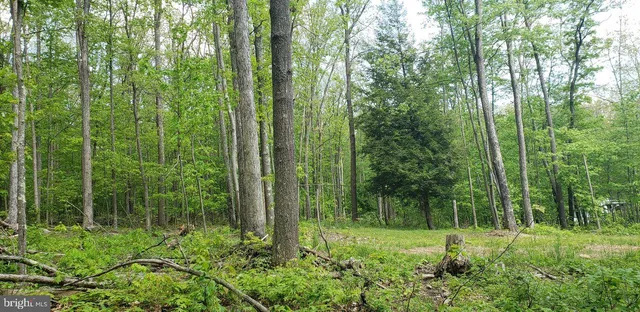 $89,900 | Spring Glade Road, Oakland, MD 21550