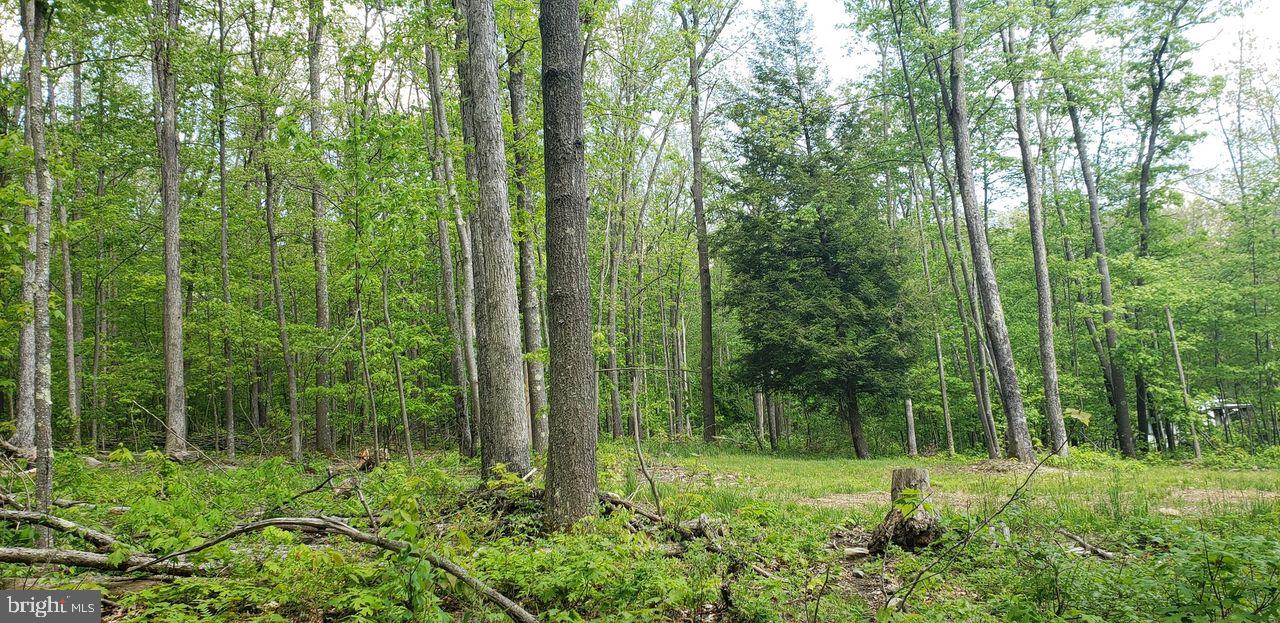 Spring Glade Road Oakland, MD 21550 - Photo 6 of 10