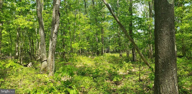 $89,900 | Spring Glade Road, Oakland, MD 21550