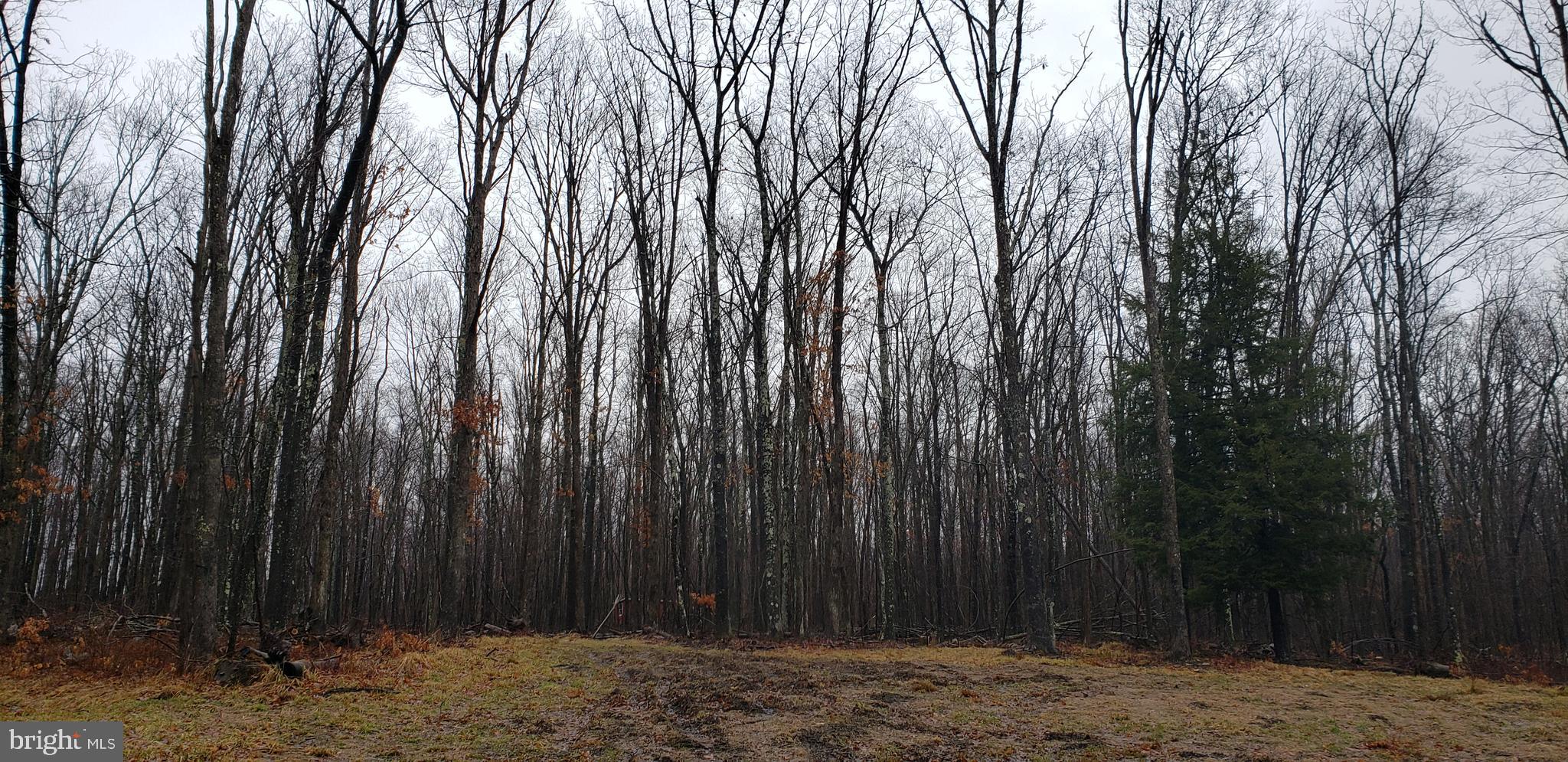 Spring Glade Road Oakland, MD 21550 - Photo 8 of 10