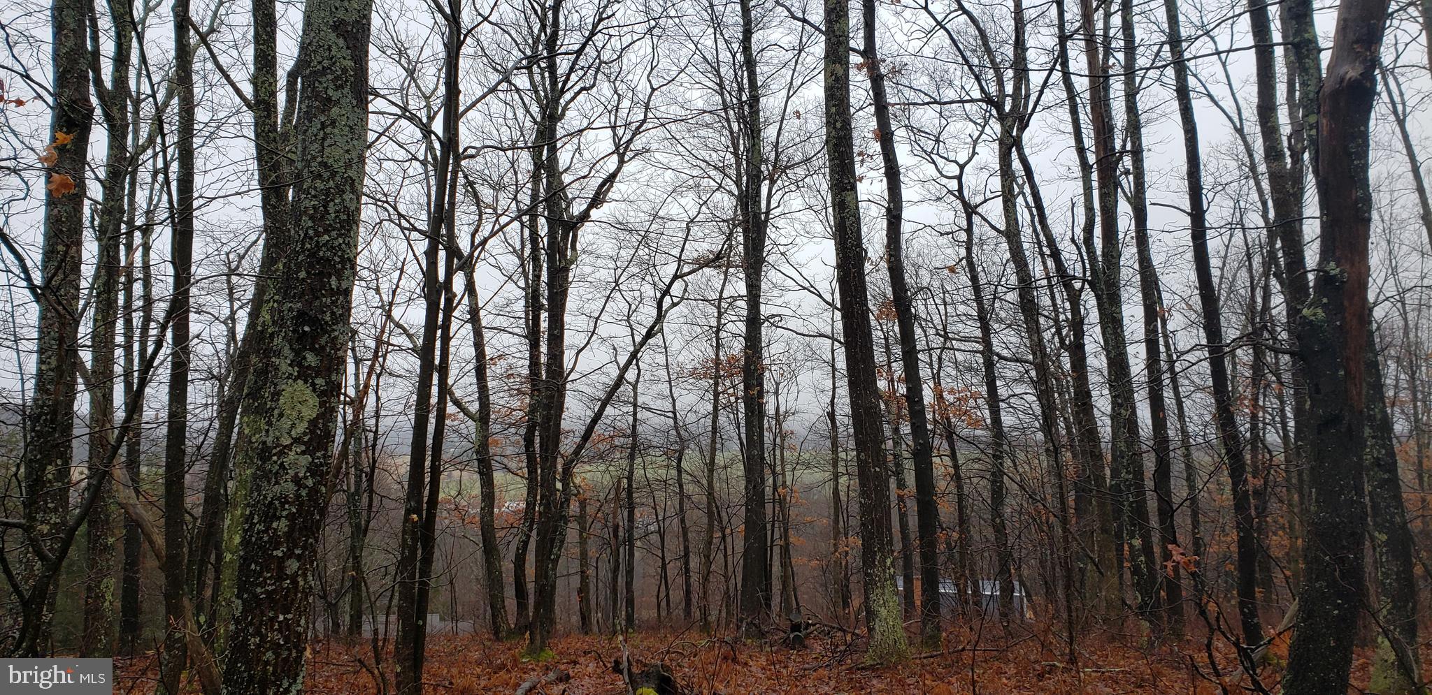 Spring Glade Road Oakland, MD 21550 - Photo 9 of 10