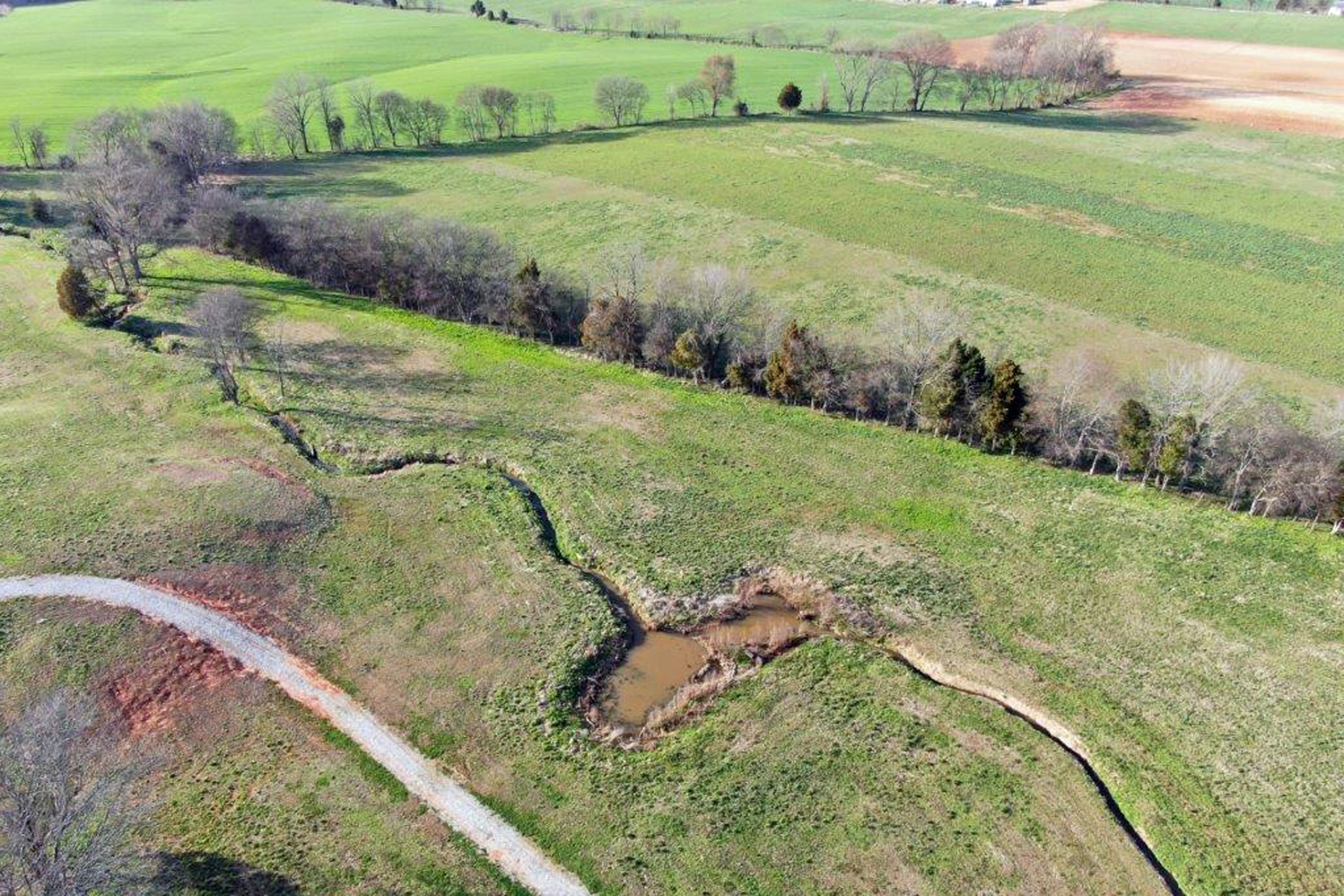 144 Mary Adams Road Franklin, KY 42134 - Photo 20 of 33 a view of a field with an outdoor space