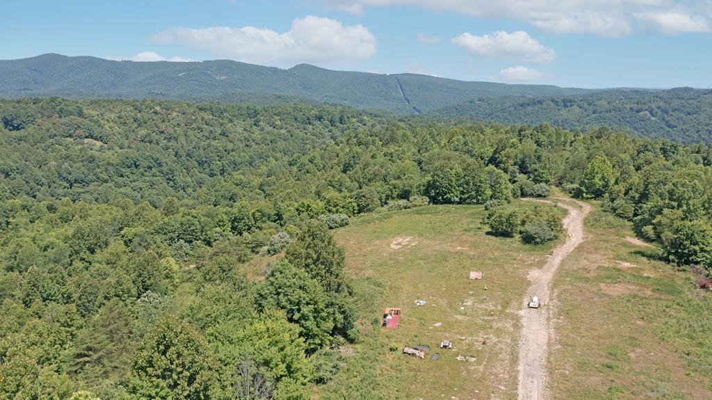 Tbd Pat Field Road Haysi, VA 24256 - Photo 2 of 16 Gallery Image 2