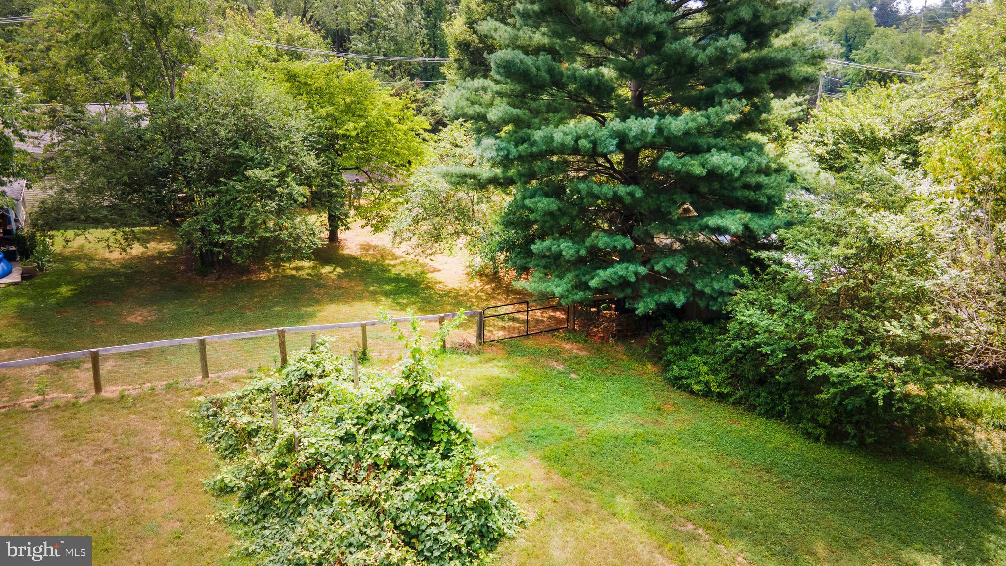 4 Chestnut Street Middleburg, VA 20117 - Photo 4 of 15 a view of a lake with a garden