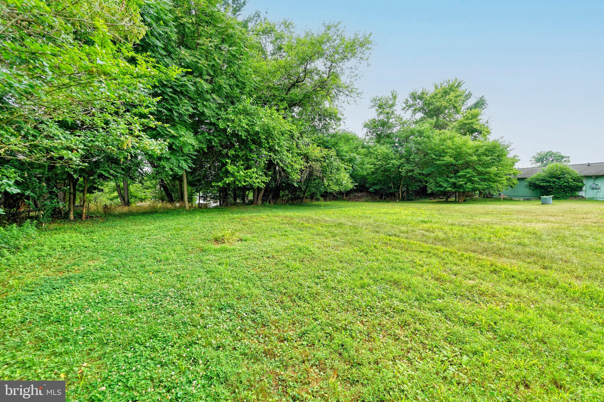 4 Chestnut Street Middleburg, VA 20117 - Photo 7 of 15 a view of a green field with plants in front of it