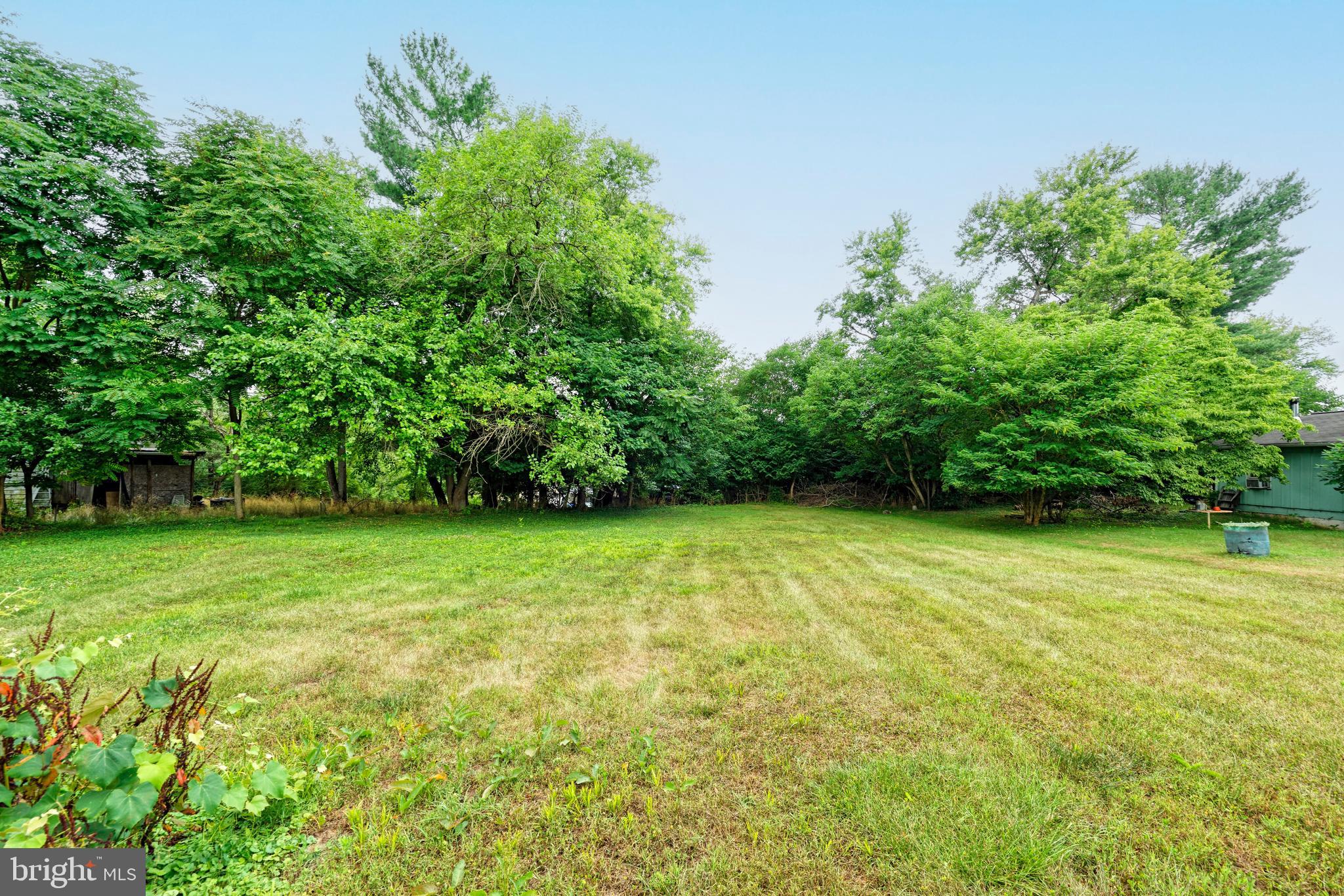 4 Chestnut Street Middleburg, VA 20117 - Photo 10 of 15 a view of a yard with a trees