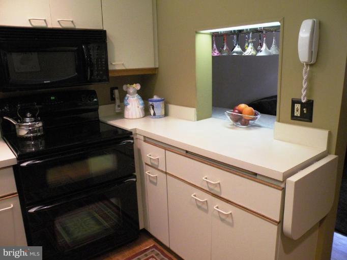 820 William Street, Unit 102 Baltimore, MD 21230 - Photo 14 of 14 a kitchen with a sink and cabinets
