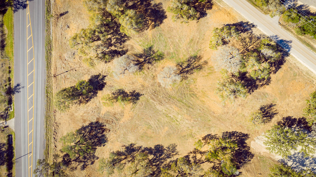 268 Kinnikinik Loop Austin, TX 78737 - Photo 12 of 23 a view of a flower in a garden