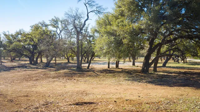 a view of empty yard with trees