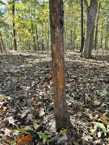 $225,000 | 7 County Road 4210, Salem, MO 65560