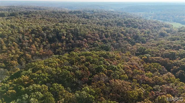 $225,000 | 7 County Road 4210, Salem, MO 65560