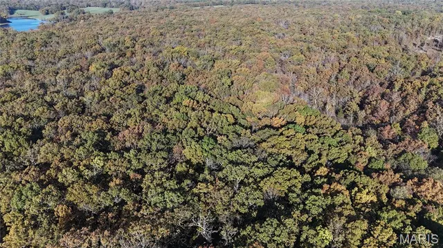 $225,000 | 7 County Road 4210, Salem, MO 65560