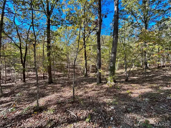 $225,000 | 7 County Road 4210, Salem, MO 65560