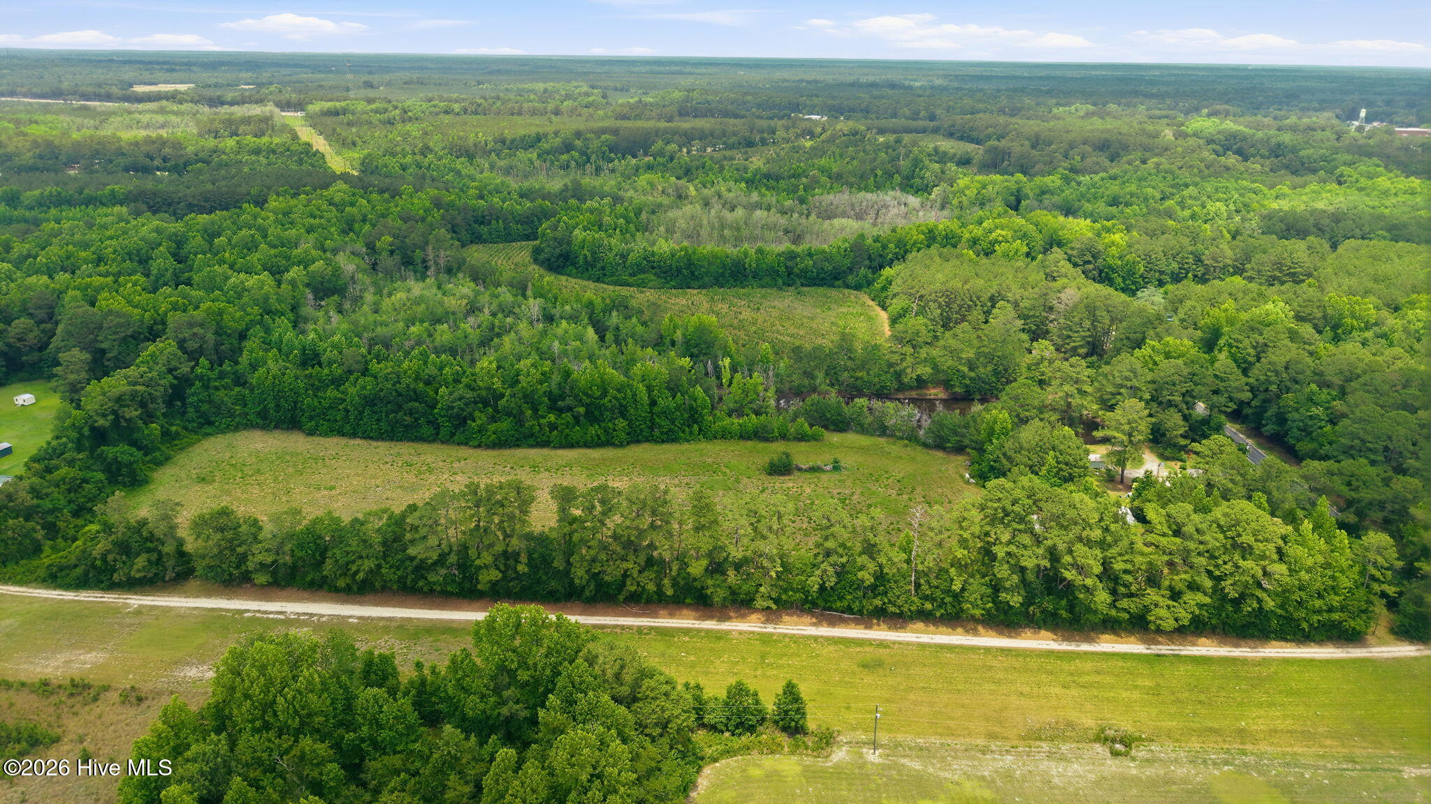 17060 St Johns Church Road Laurel Hill, NC 28351 - Photo 49 of 62