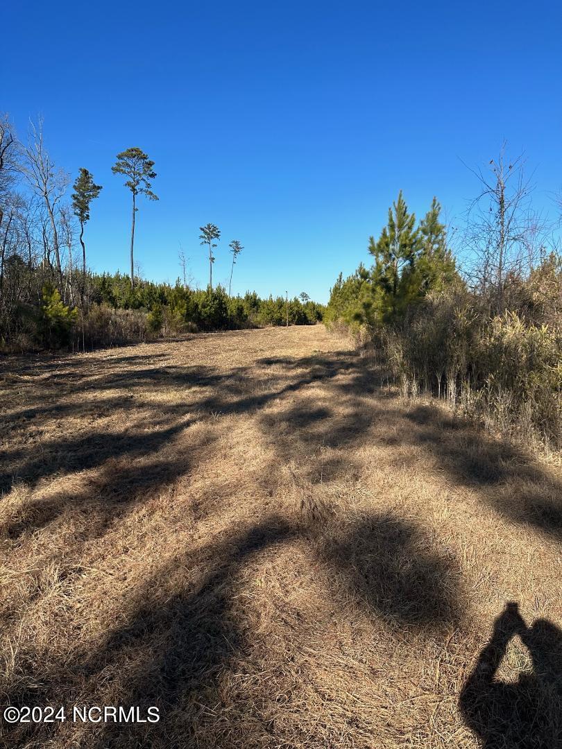 0 Lloyd Corey Road Stokes, NC 27884 - Photo 2 of 21 Food Plot