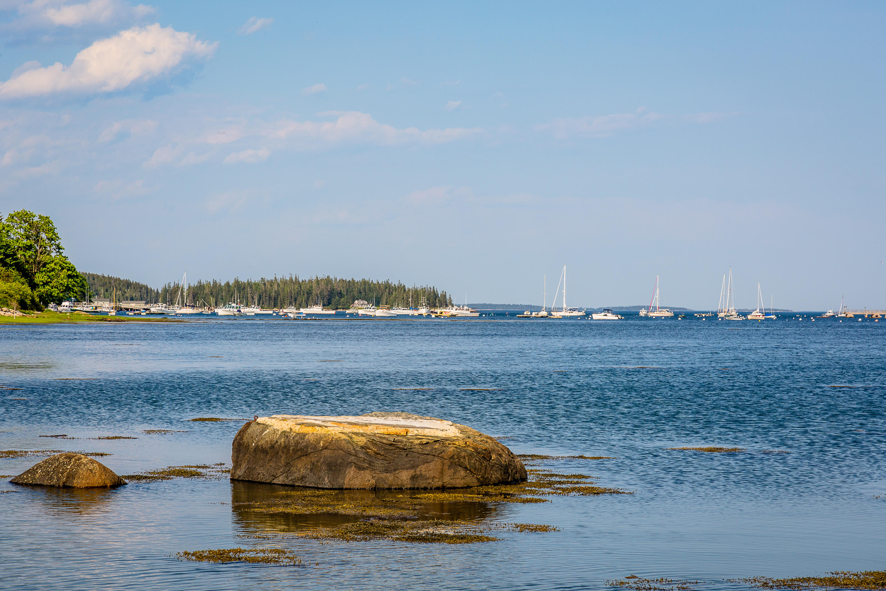 5 Hope Lane St. George, ME 04860 - Photo 40 of 41 5Hope_58_S_print