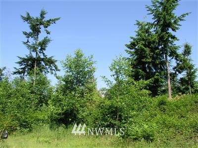 3920 Resort Road Greenbank, WA 98253 - Photo 1 of 1 Gallery Image 1