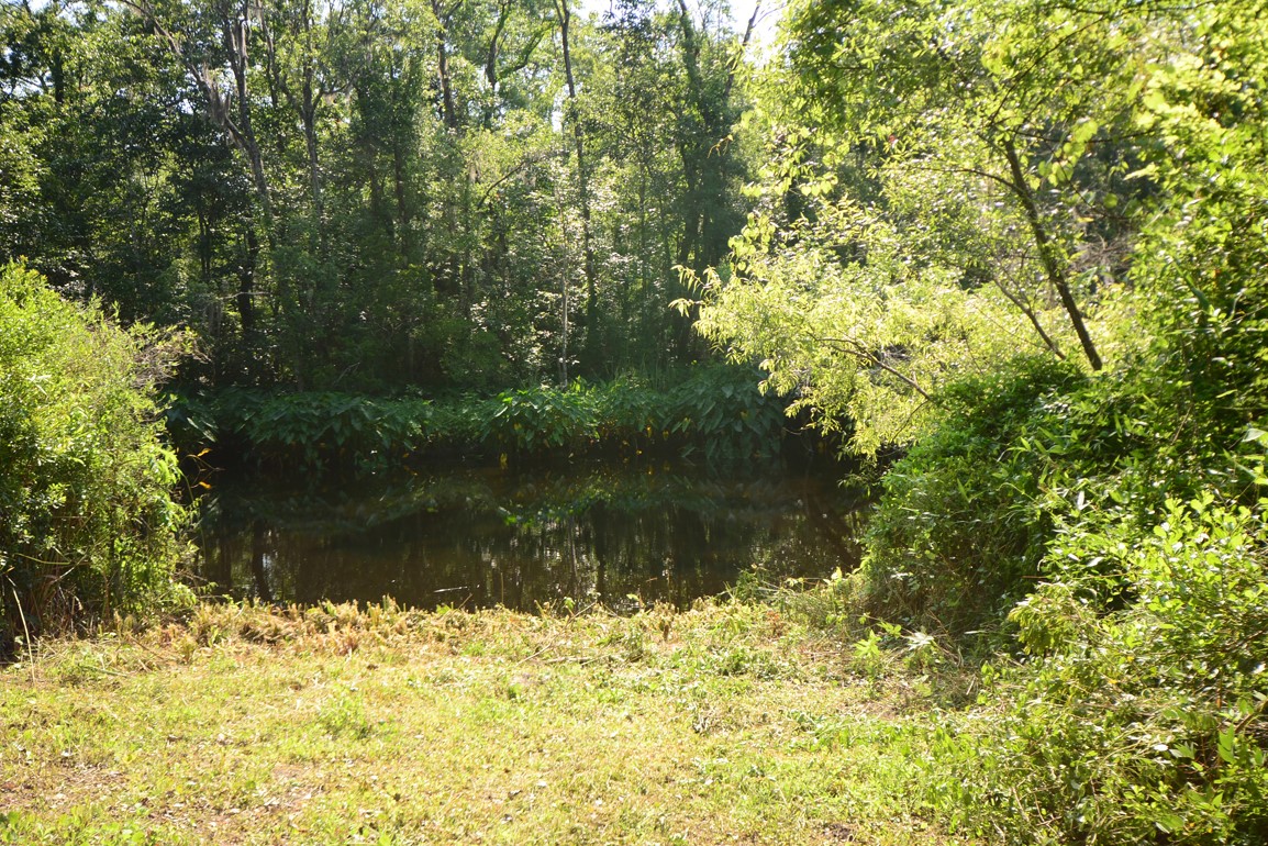 2 Peeples Road Yulee, FL 32097 - Photo 3 of 7